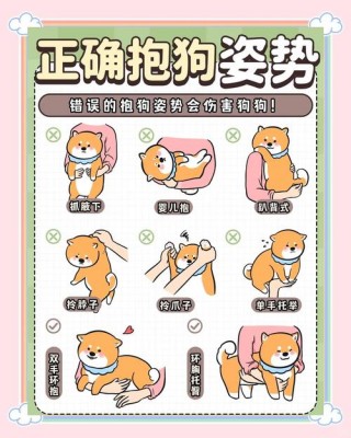 怎样和狗狗玩耍？怎样和狗狗玩耍视频（最新）