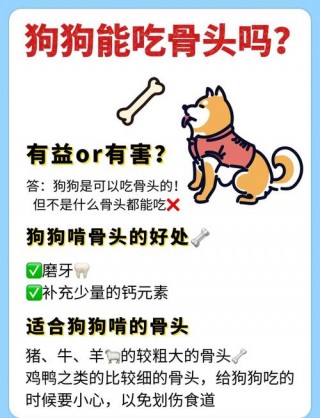 狗狗能吃骨头吗，狗狗能吃骨头吗?？