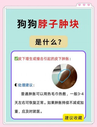狗狗颈椎病吃什么药，狗狗颈椎痛吃什么消炎药？