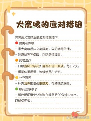 狗狗老咳嗽干呕怎么办？狗狗一直咳嗽干呕怎么回事（最新）