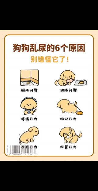 狗狗尿不出尿怎么办，狗狗尿不出来是什么病？