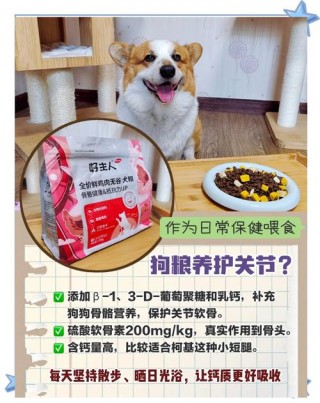 狗狗能喝旺仔牛奶吗？狗狗可以喝旺仔牛奶么（最新）