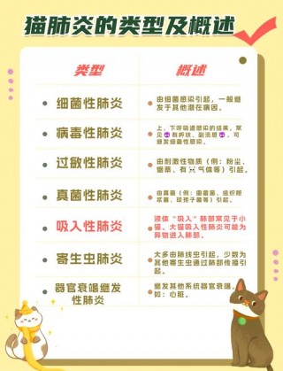 关于猫咪上呼吸道感染症状的信息