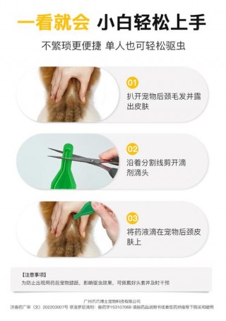 猫咪如何体内驱虫？猫咪体内驱虫的正确方法（最新）