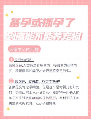 孕期养狗狗注意事项，孕期养狗的注意事项？