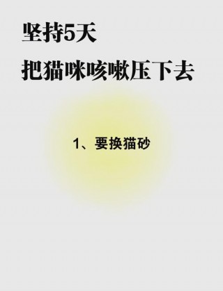 猫咪咳嗽怎么办，（猫咪咳嗽怎么办啊）