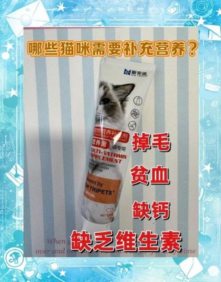 猫咪营养膏吃多了会怎么样？猫咪营养膏吃多了会挑食吗（最新）