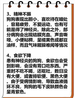 狗狗脑炎吃什么药，（狗狗脑炎吃什么药效果比较好）