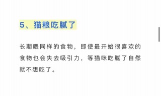 猫咪可以饿几天？猫咪饿几天是极限（最新）