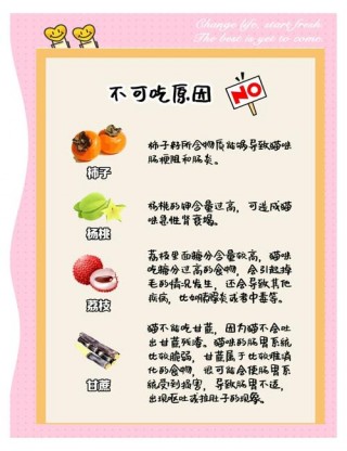 猫猫能吃香蕉吗，猫咪可不可以吃香蕉？