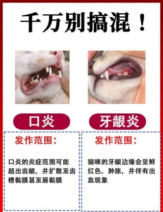 猫咪牙龈炎怎么治疗，猫咪牙龈炎症？