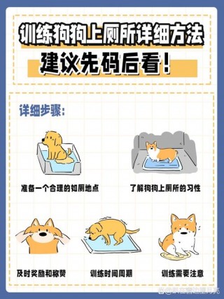 狗狗多大开始训练，（狗狗多大开始训练比较好）