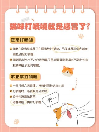 猫咪感冒会传染给人吗，猫咪感冒会传染给人吗怎么治疗？
