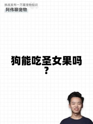 狗狗能吃圣女果吗，宠物狗可以吃圣女果吗?？