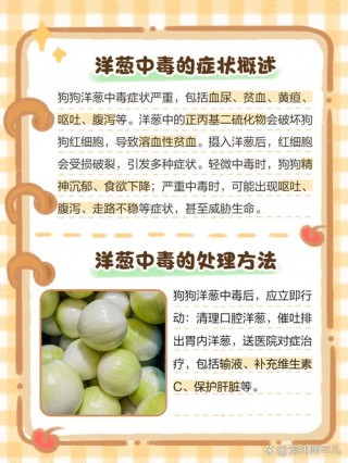 狗狗吃多少洋葱会中毒，狗狗吃洋葱中毒症状？