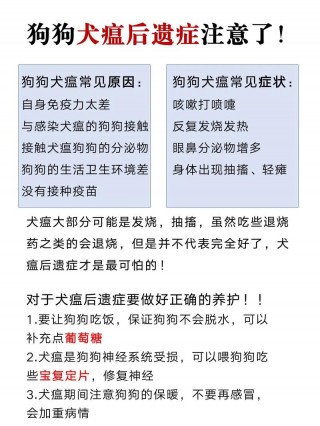 狗狗犬瘟后遗症有哪些，狗犬瘟后期还有救吗？