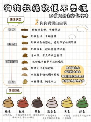 狗狗拉不出便便怎么办，（狗狗拉不出便便怎么办视频）
