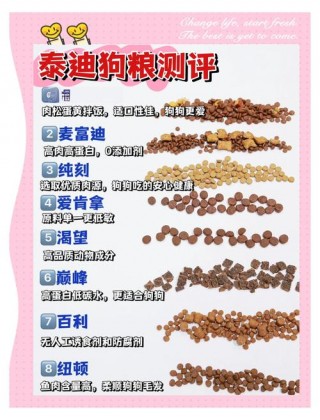 狗狗多久可以吃干狗粮，狗狗多久可以吃干狗粮小狗狗？