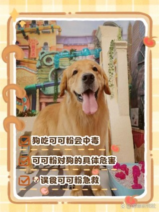 狗狗能吃可可粉吗，（狗狗能吃可可粉吗怎么吃）