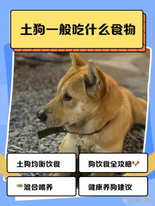 狗狗可以吃南瓜粥吗，狗狗可以吃南瓜粥么？