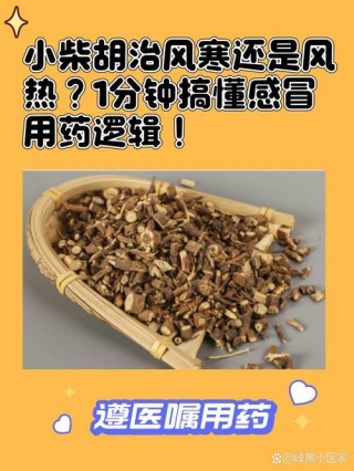 狗狗可以吃小柴胡吗，（小狗可以喝小柴胡吗）