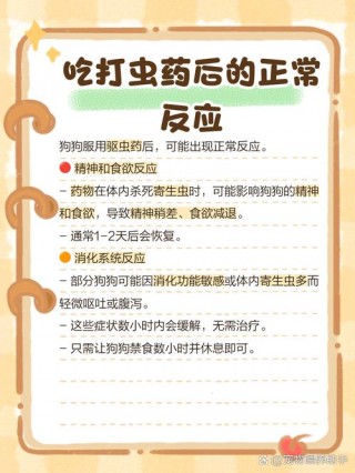 狗狗吃过驱虫药多久能吃饭，狗狗吃过驱虫药多久能洗澡？