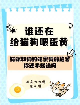 狗狗能吃鹌鹑蛋黄吗？狗狗能吃鹌鹑蛋嘛（最新）