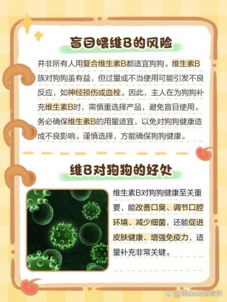 狗狗可以吃人吃的维生素吗，狗子能吃人的维生素吗？