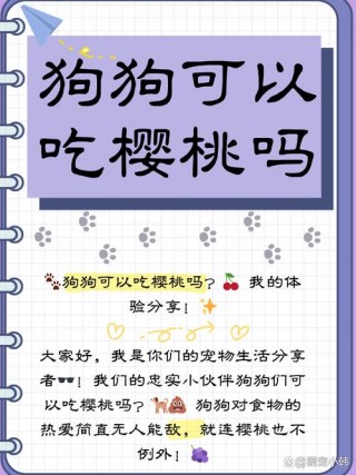 狗狗可以吃车厘子吗？狗狗可以吃车厘子吗!（最新）