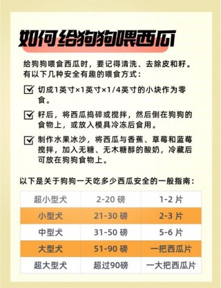 狗狗能吃西瓜吗，三个月的狗狗能吃西瓜吗？