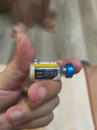 狗狗打一次疫苗管多久，（狗狗打疫苗一般打几次）