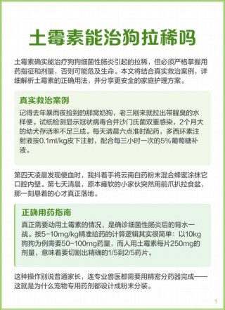 狗狗拉肚子可以吃土霉素吗？狗又拉又吐吃什么药好使（最新）