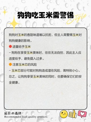 狗狗可不可以吃玉米，（狗狗可不可以吃玉米棒子）