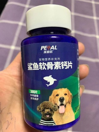狗狗调理肠胃吃什么药，（调理狗狗肠胃的四种解决办法）
