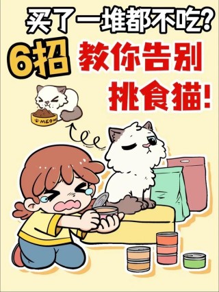 猫咪不吃新猫粮怎么办，猫猫不吃新买的猫粮怎么办？