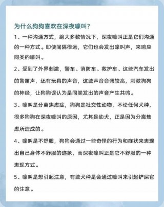 狗狗每天6点就叫怎么治，（狗狗六点多钟就叫扰民怎么办）