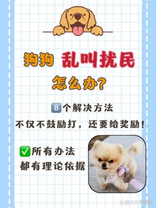 怎么训练狗狗不叫，（怎么训练狗狗不乱叫视频）