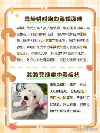 怎么除狗狗身上的臭味，有什么办法去除狗狗身上的臭味？