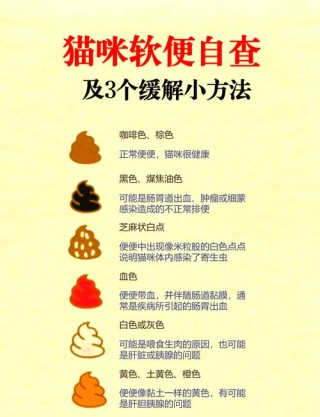 猫咪三天没拉屎怎么办，（猫咪三天不拉屎正常吗很精神）
