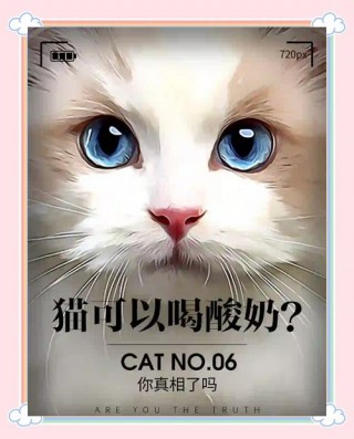 猫咪可不可以喝酸奶？猫能否喝酸奶（最新）