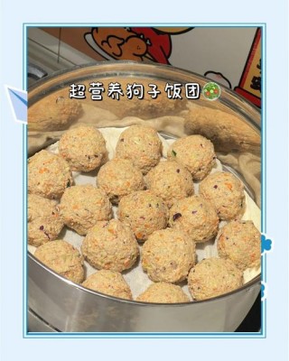 狗狗可以吃糯米吗，狗子可以吃糯米吗?？