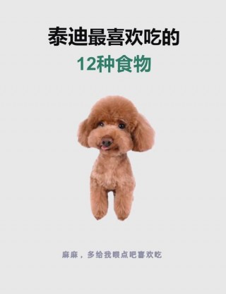 狗狗能吃动物肝脏吗，（狗狗吃动物肝脏的好处）