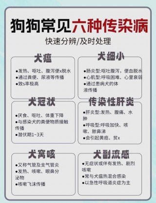 狗狗的传染病有哪些，（狗狗的传染病的症状）