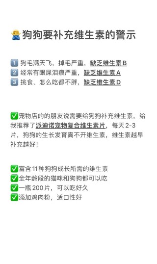 狗狗补充维生素吃什么，（狗复合维生素前十排名榜）