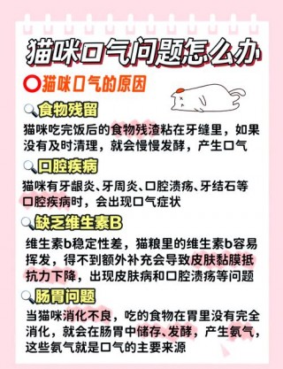 猫咪有口臭是什么原因，（猫咪有口臭是什么原因导致）