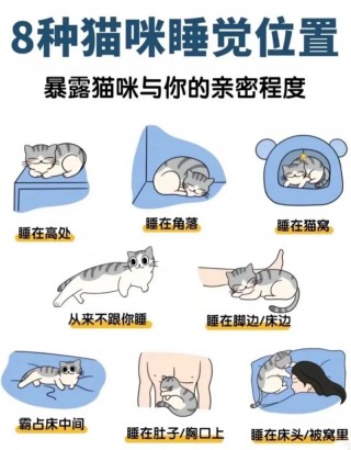 猫咪多大可以打疫苗，（猫咪多大可以打疫苗第三章）