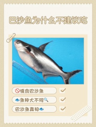 狗狗可以吃巴沙鱼吗，（小狗可以吃巴沙鱼吗）