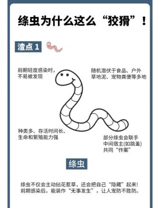 猫咪绦虫怎么治疗，（猫咪绦虫怎么治疗比较好的方法）