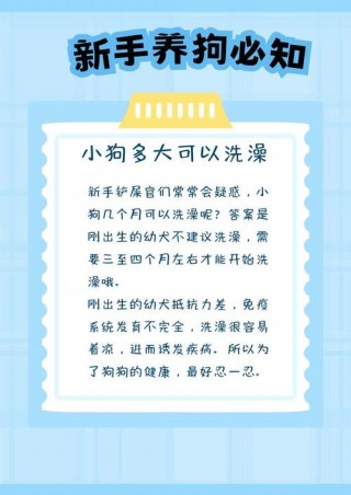 三个月狗狗可以洗澡吗，（三个月的狗可以洗澡嘛）