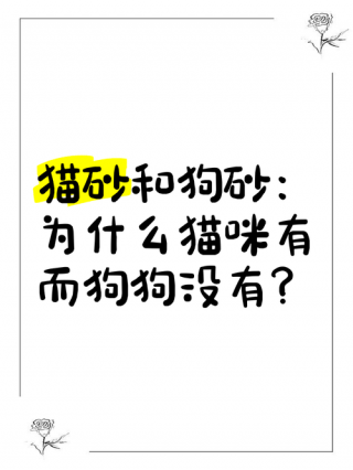 猫砂狗狗能用吗，（猫砂可以给狗用吗,狗能不能在猫砂上拉屎）